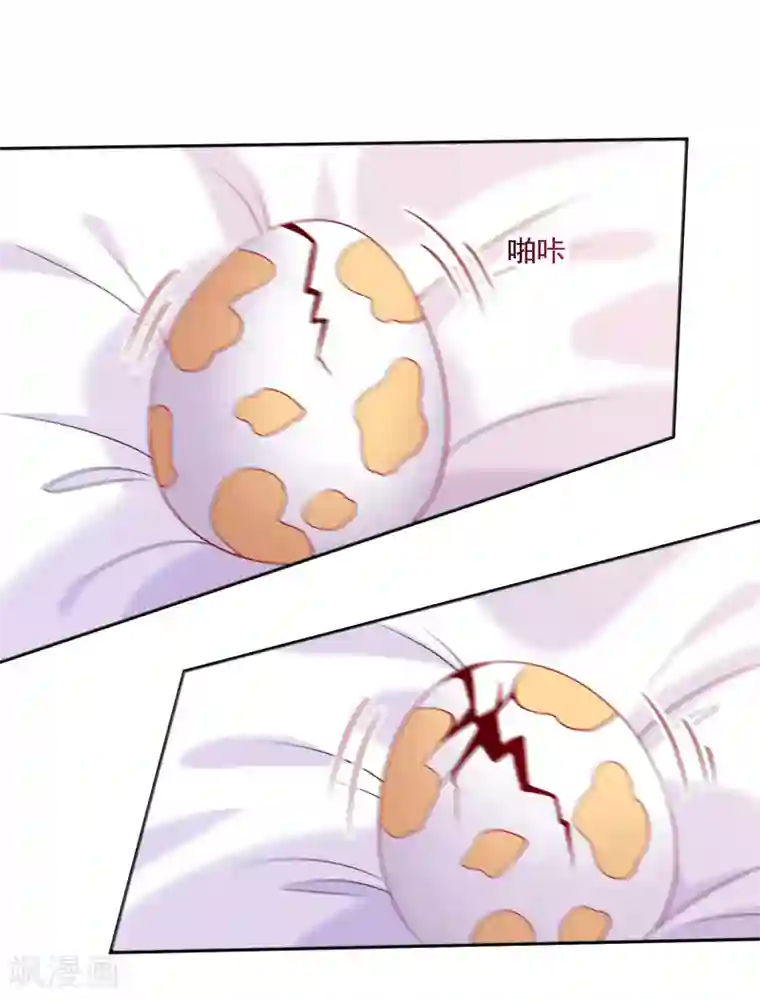 明星是血族第245话 我的崽崽居然是……