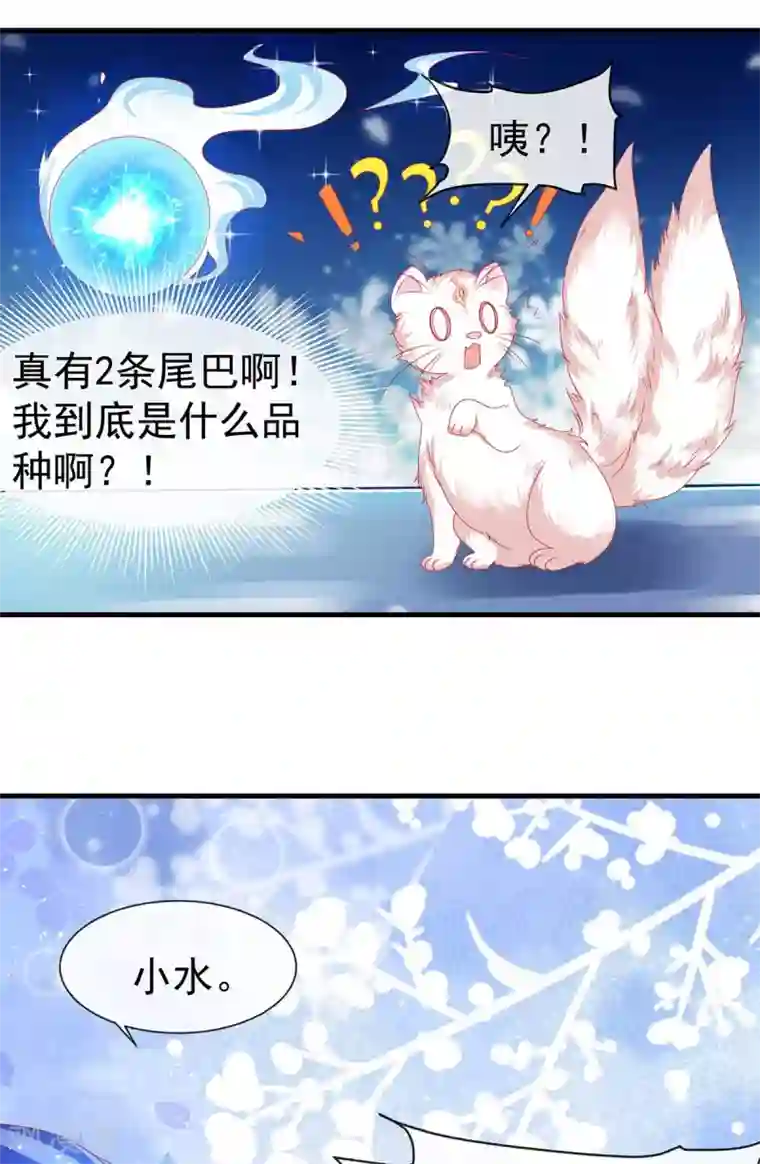 养兽为妃第24话 心跳有点快