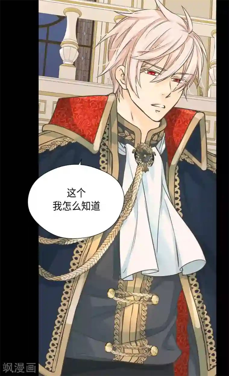 皇帝的独生女第381话 献给救援者的发誓