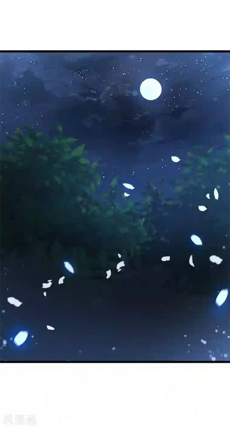 帝凰之神医弃妃第69话 又见淳王