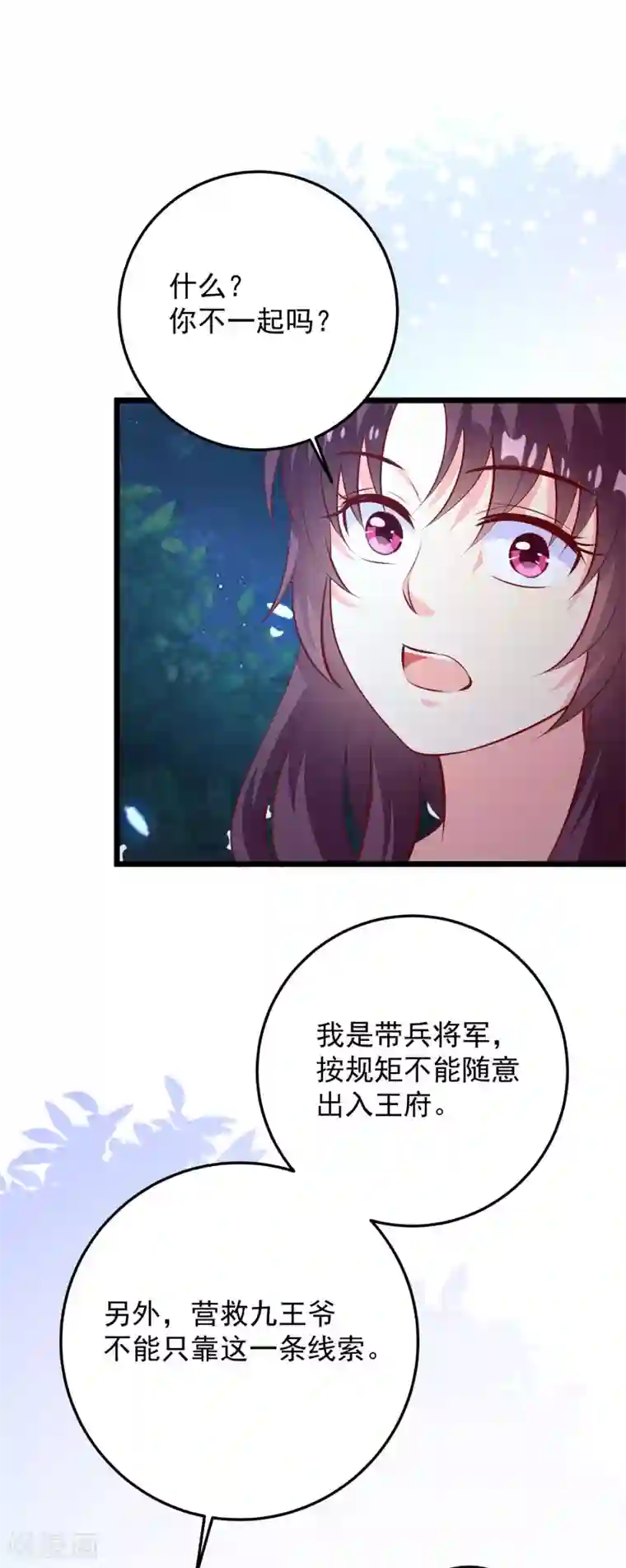 帝凰之神医弃妃第69话 又见淳王