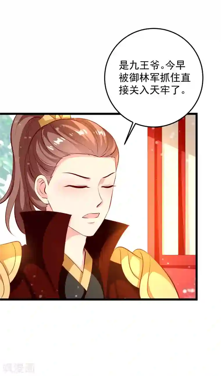 帝凰之神医弃妃第69话 又见淳王