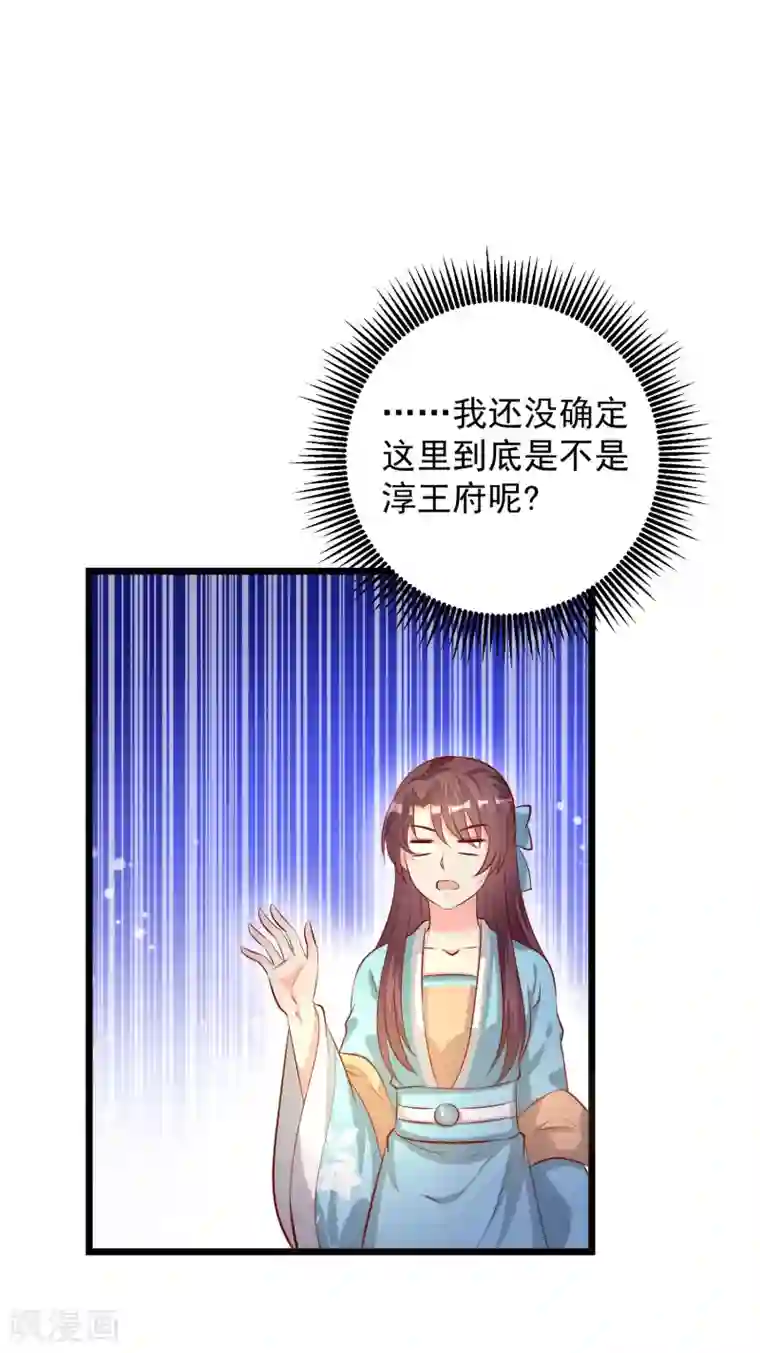 帝凰之神医弃妃第69话 又见淳王