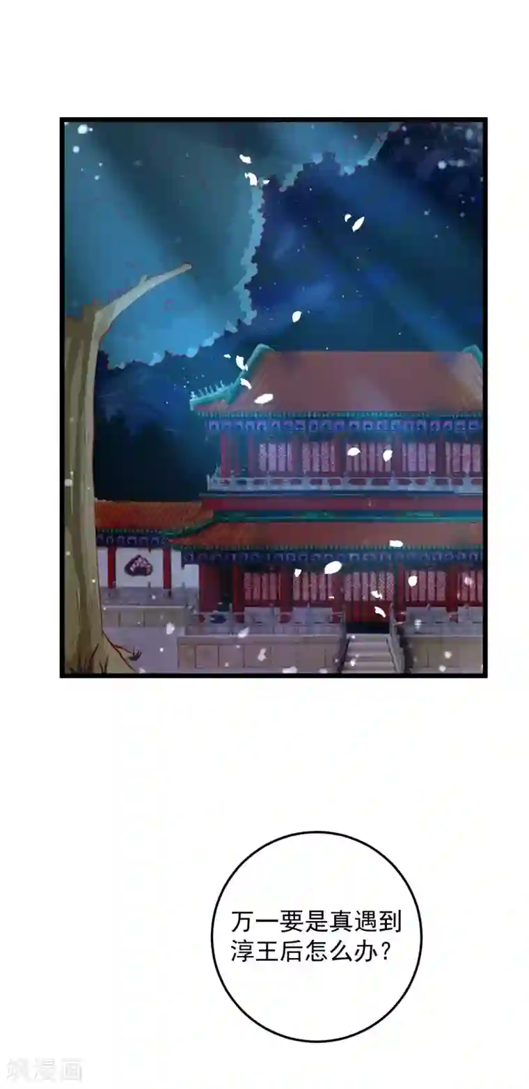 帝凰之神医弃妃第69话 又见淳王