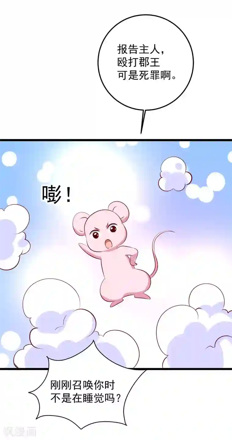 帝凰之神医弃妃第69话 又见淳王