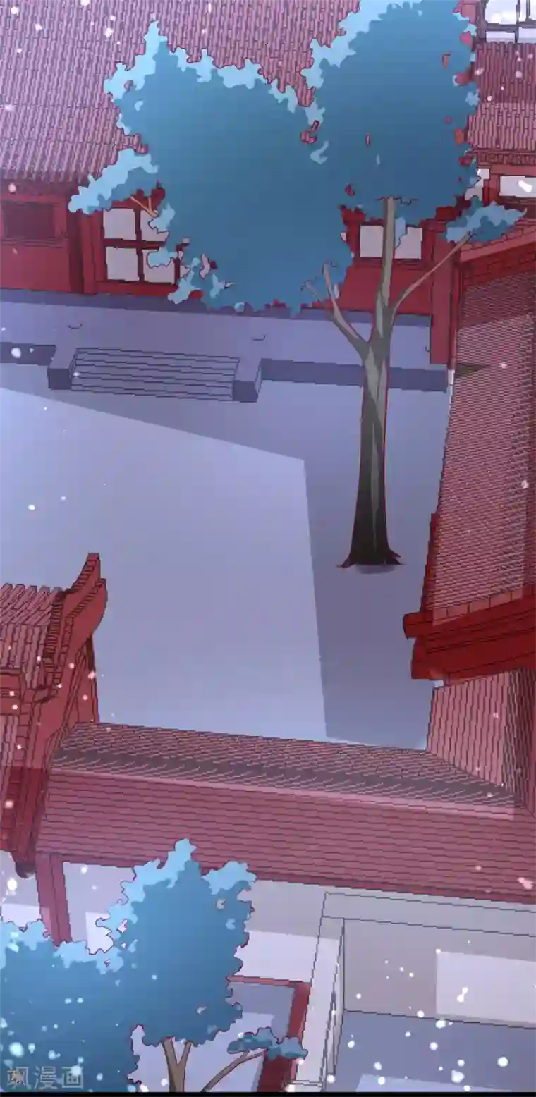 帝凰之神医弃妃第70话 不打不相识