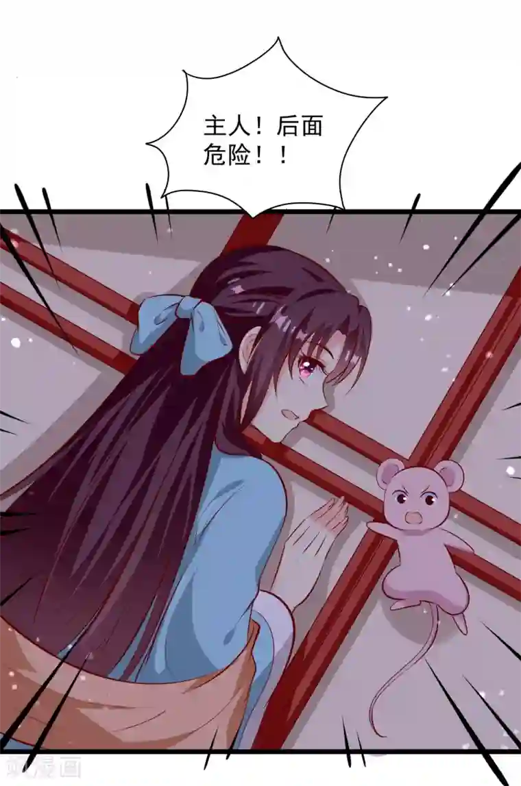 帝凰之神医弃妃第70话 不打不相识