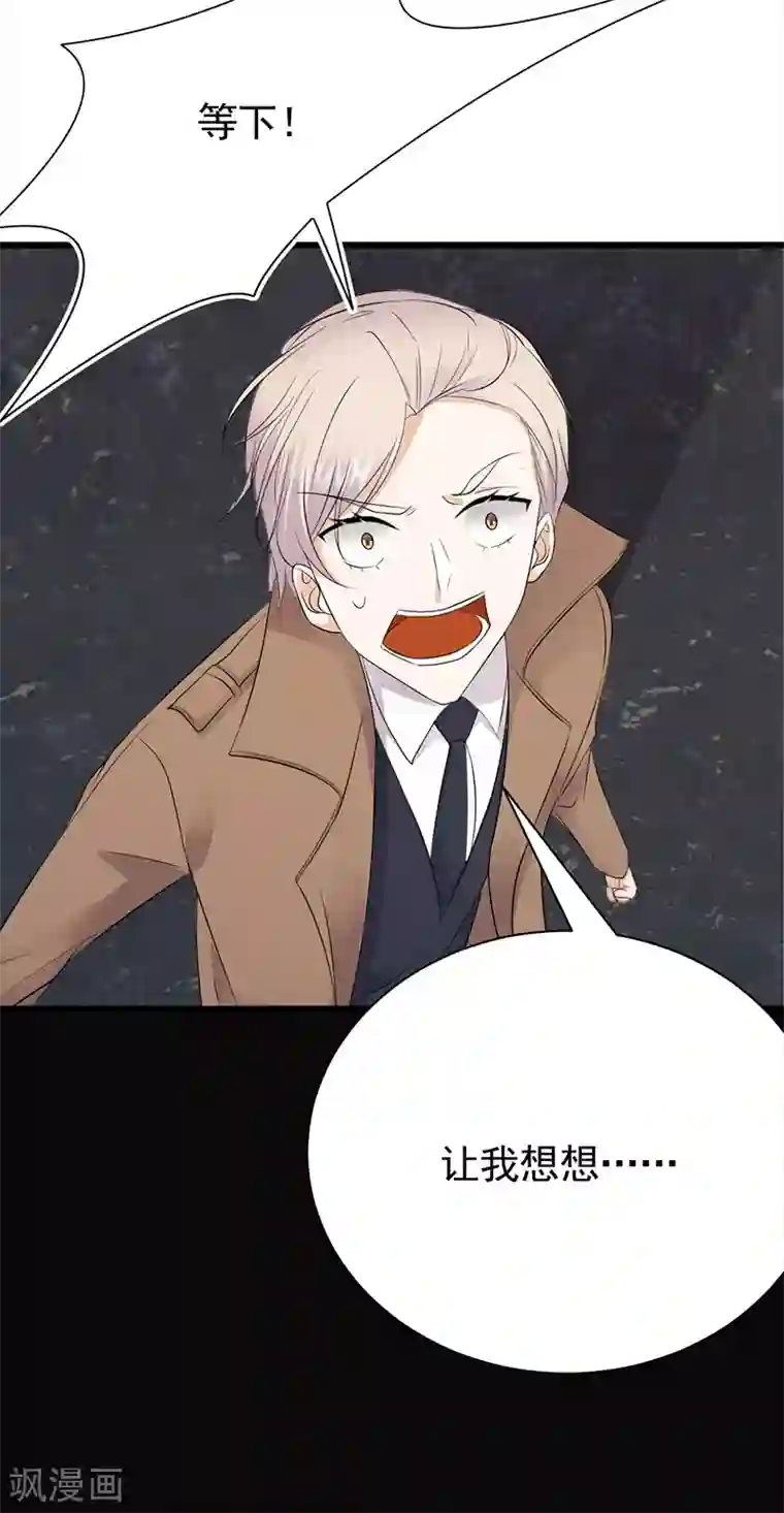 陆少的心尖宠第84话 抉择