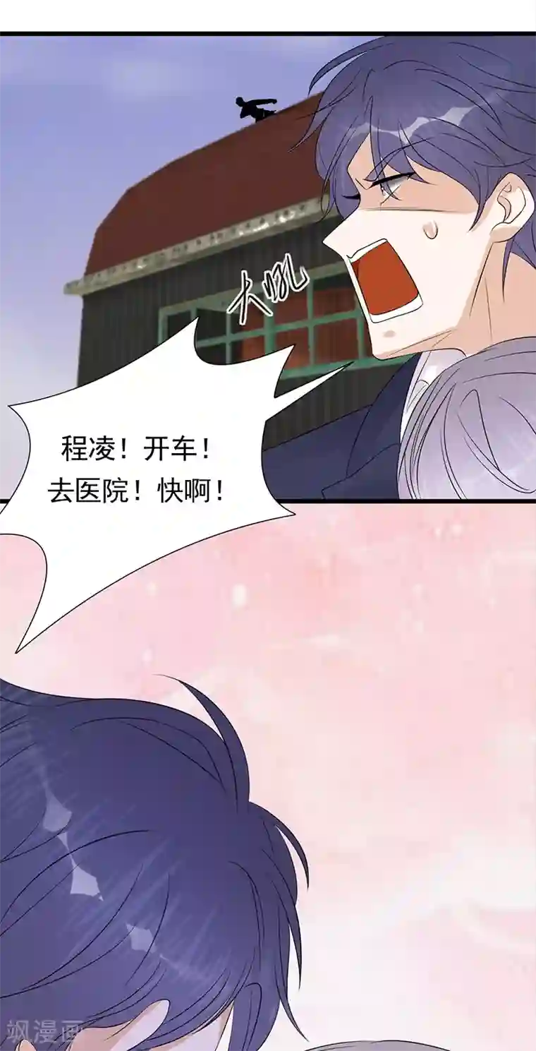 陆少的心尖宠第85话 你的答案