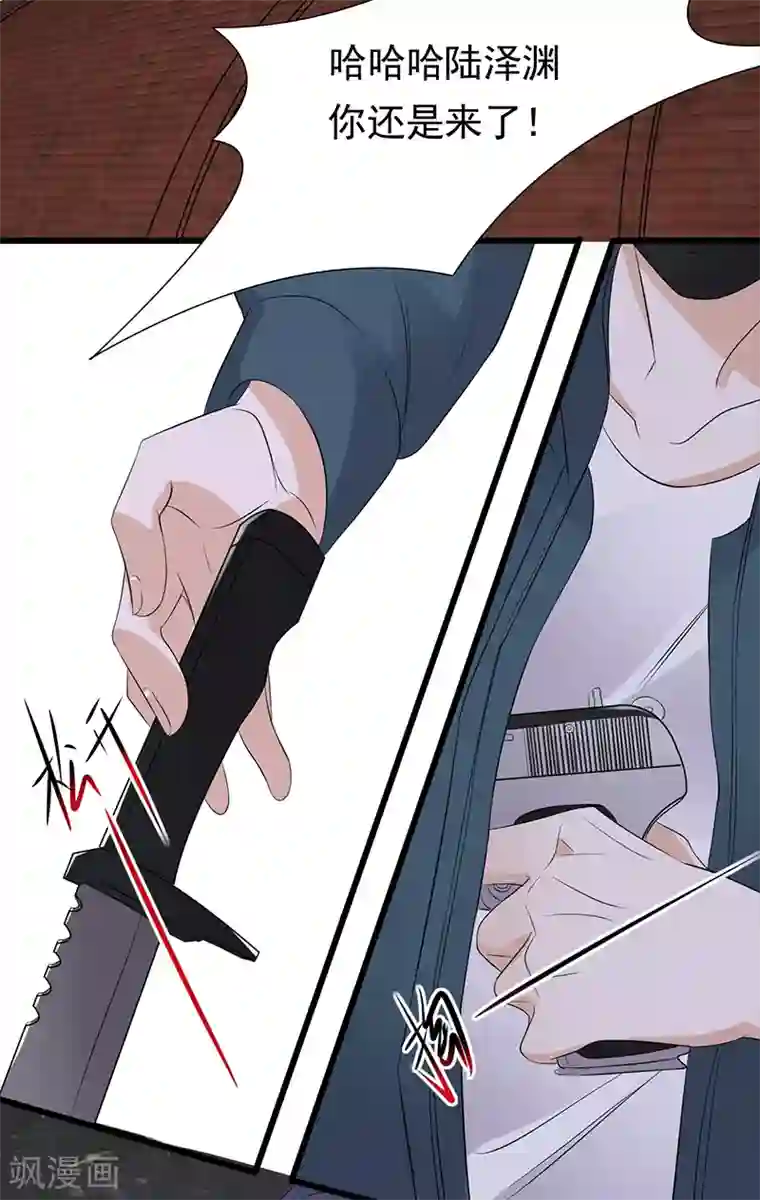 陆少的心尖宠第85话 你的答案