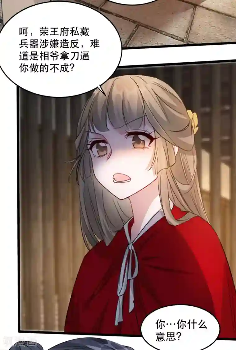 奸妃如此多娇第89话 再见荣王