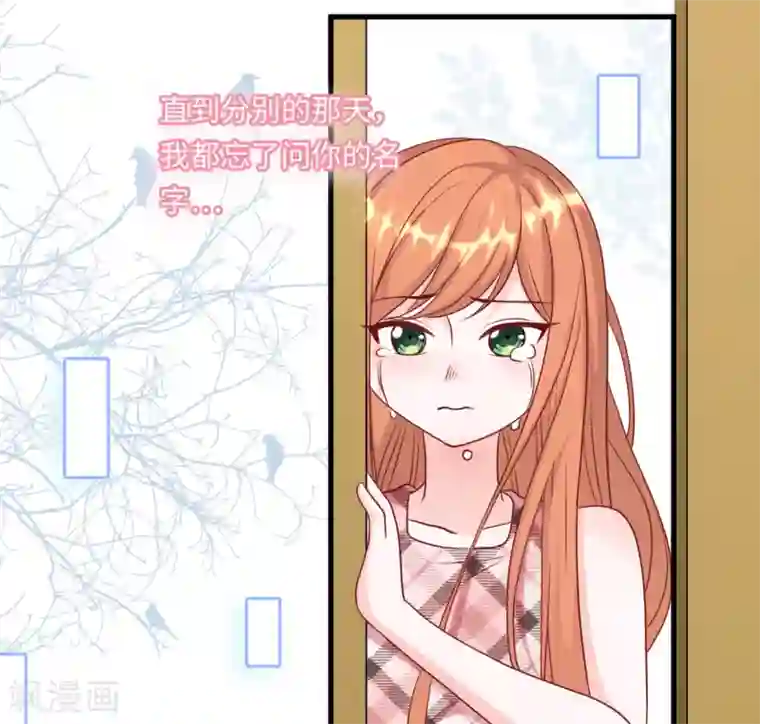 总裁爹地追上门第51话 突如其来的儿子