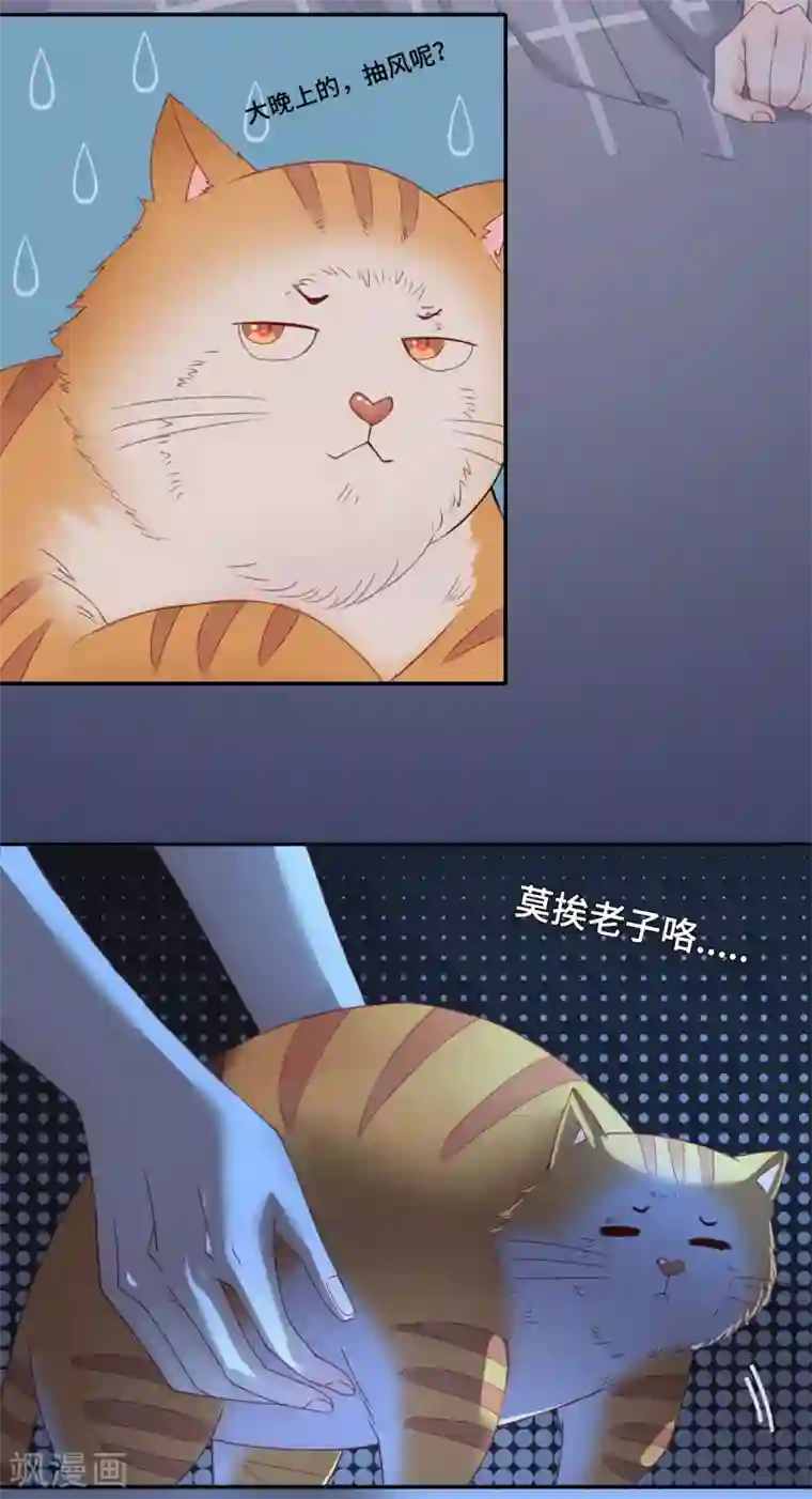 隔壁那个饭桶第47话 你喜欢她吗？