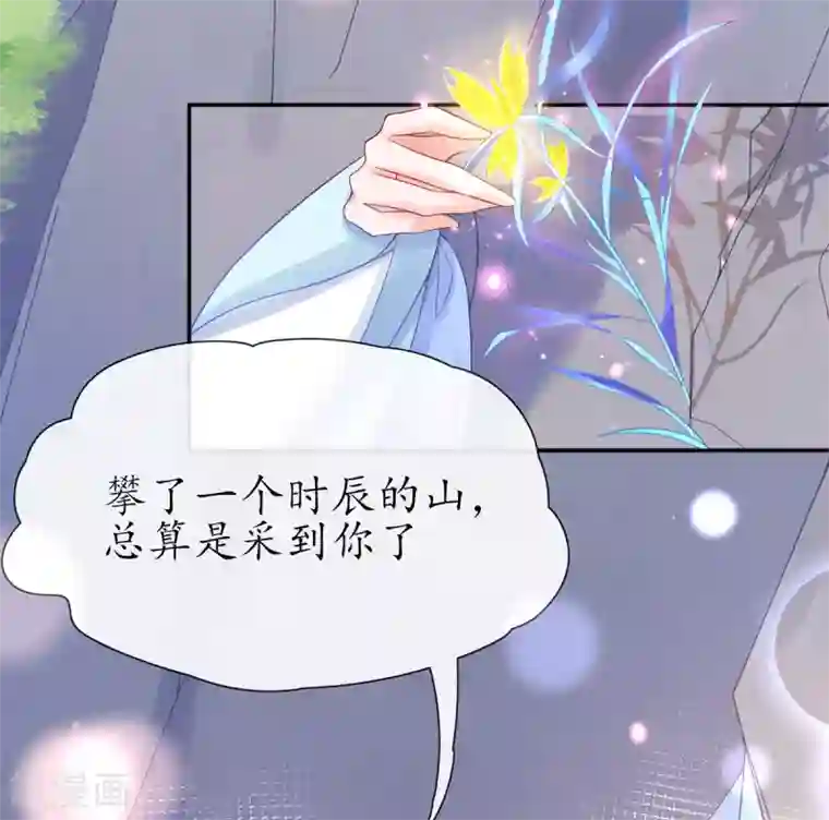 王妃的修仙指南第23话 糟糕，保护绳被割断了