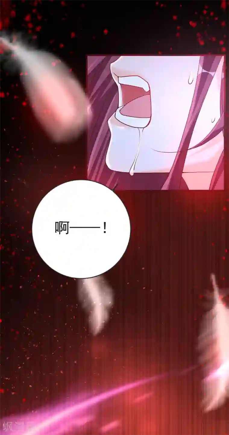 盛世华宠：我被俘虏了第34话 收藏品