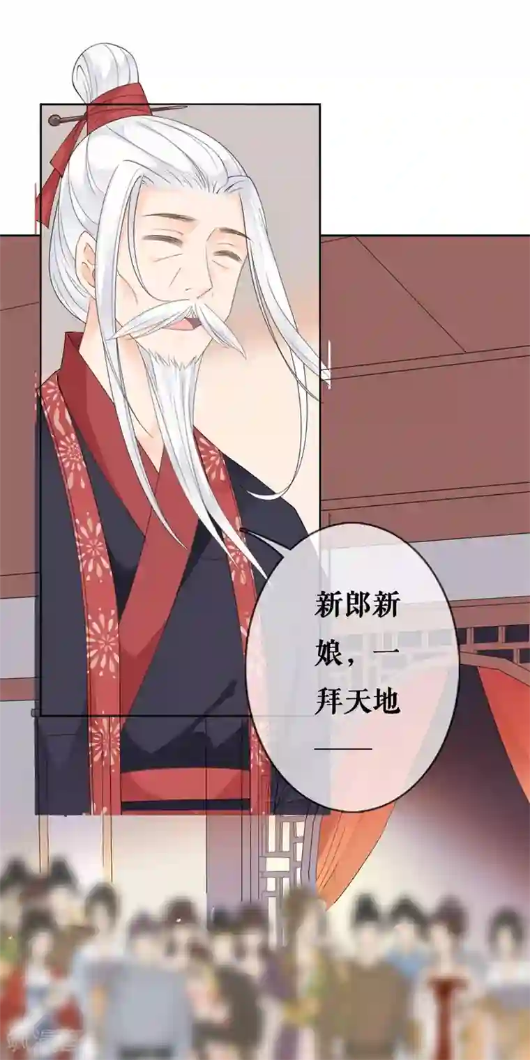 桑落醉在南风里第37话 婚礼继续