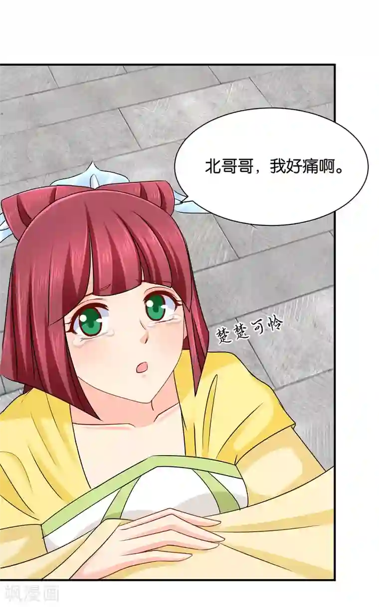 绝色医妃第186话 楚定北拒绝青岚