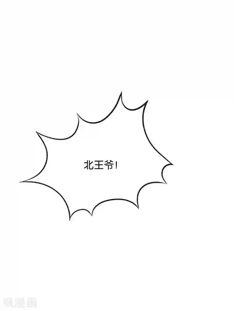 绝色医妃第186话 楚定北拒绝青岚