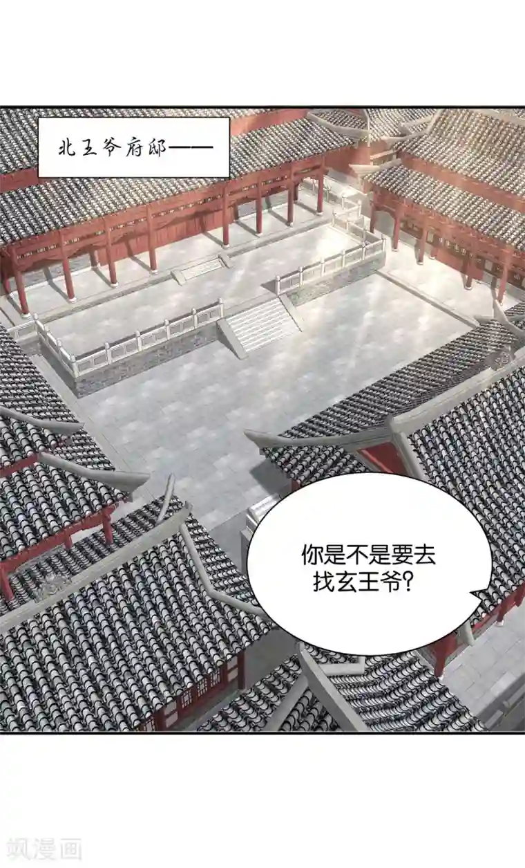 绝色医妃第186话 楚定北拒绝青岚