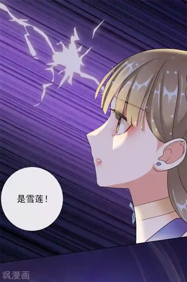 王妃的成长攻略第11话 重回美貌