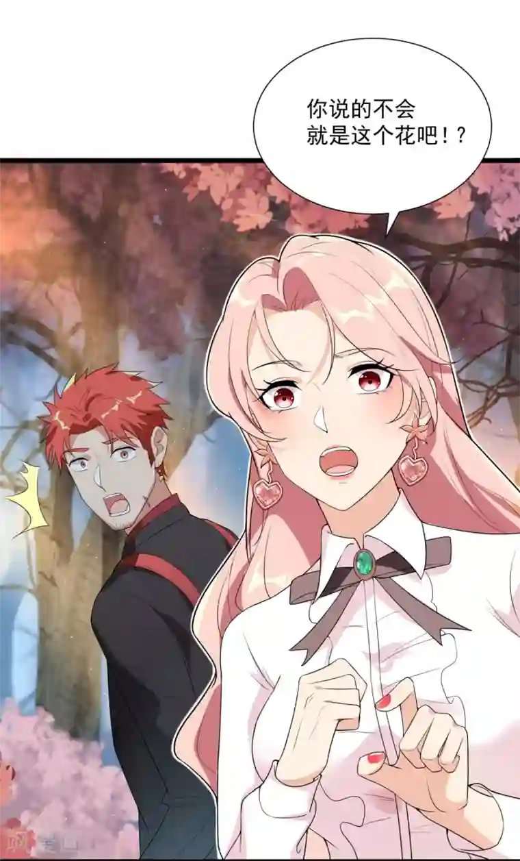 巅峰强少第69话