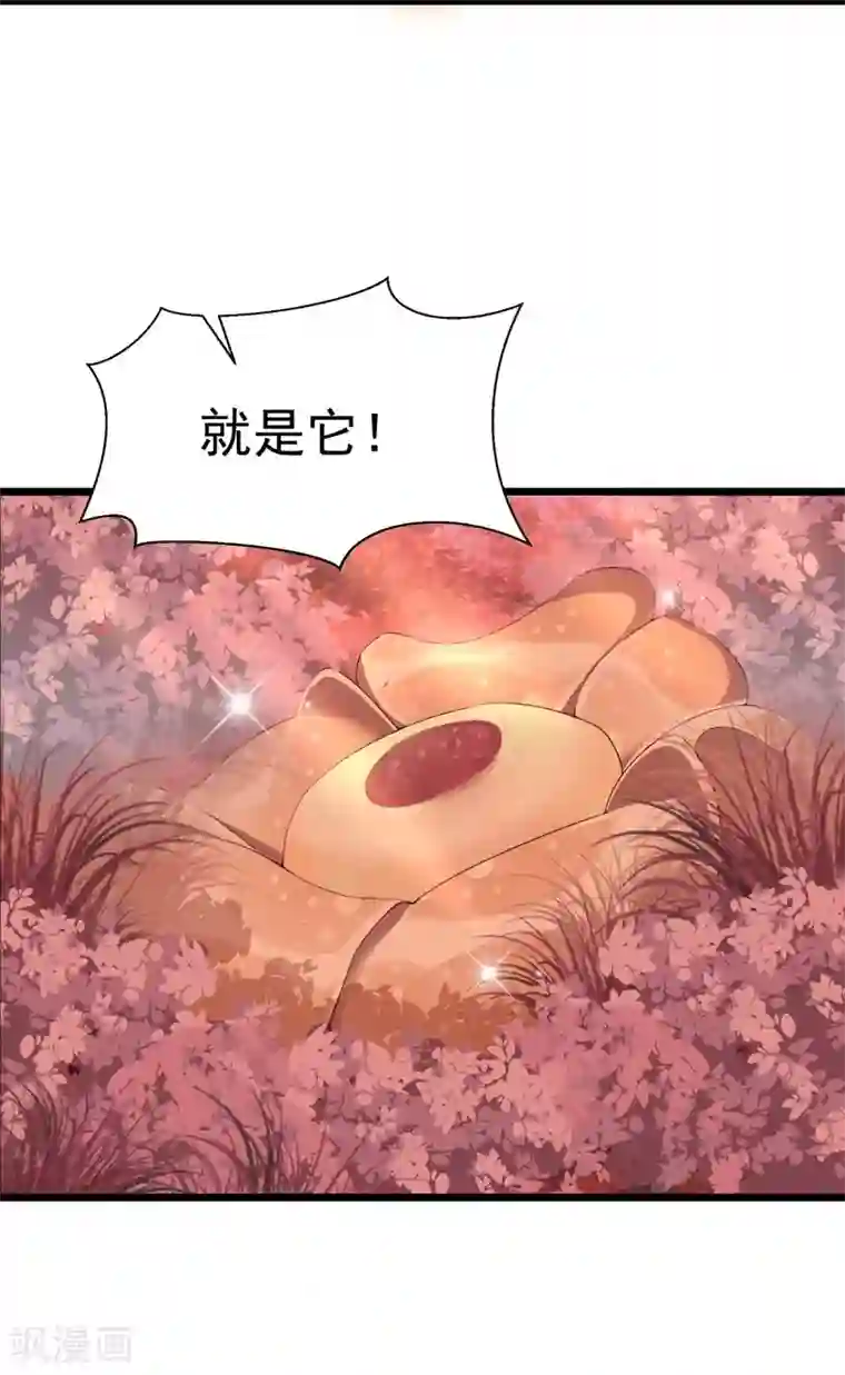 巅峰强少第69话