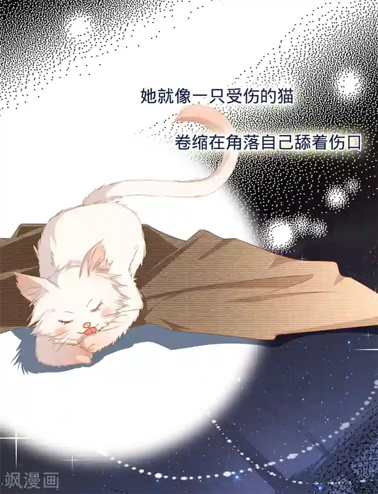 以婚之名第9话 令人心疼的小猫咪