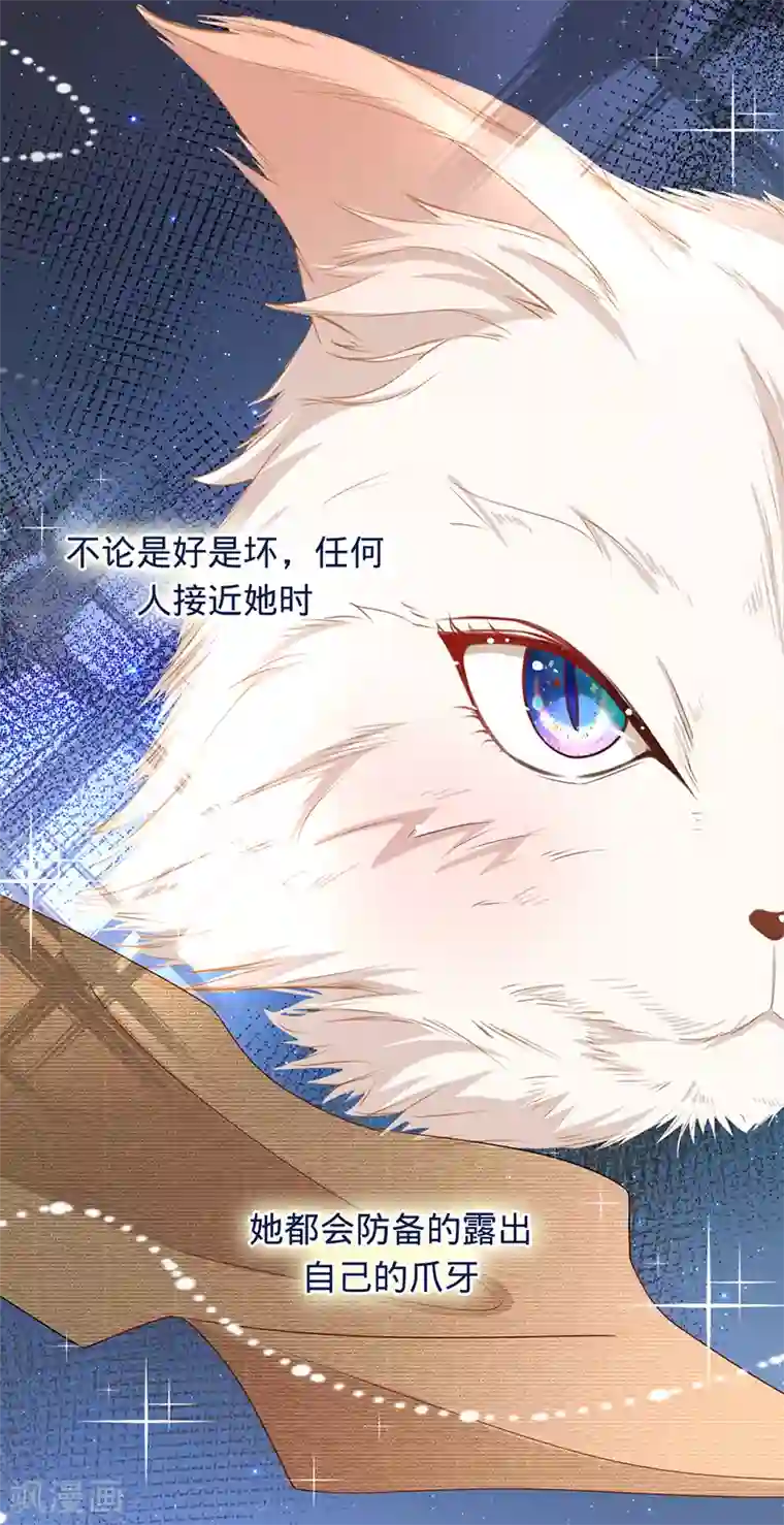 以婚之名第9话 令人心疼的小猫咪