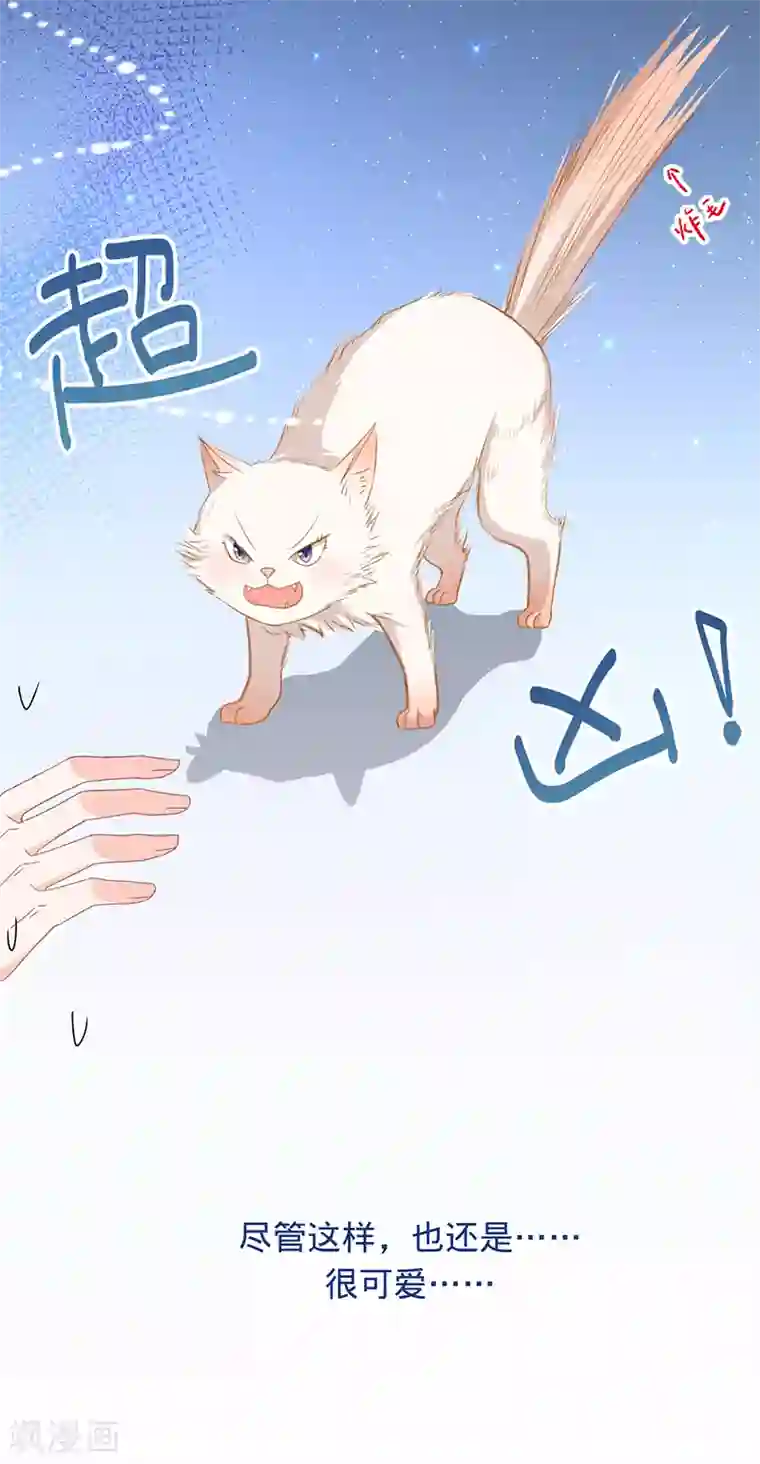 以婚之名第9话 令人心疼的小猫咪