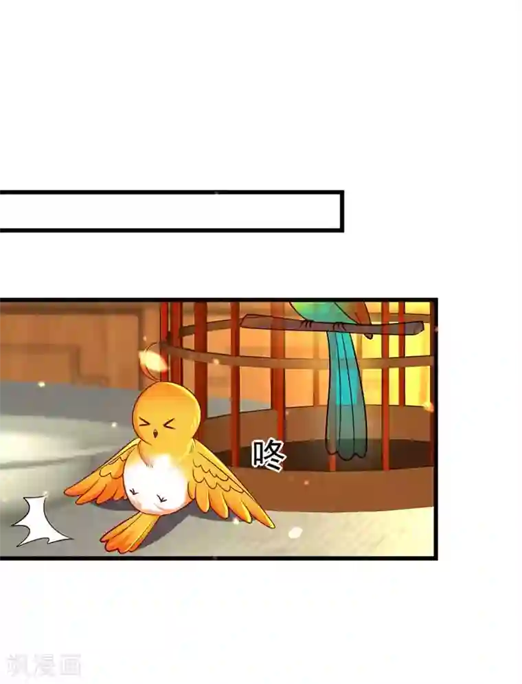 我在后宫当大佬第7话 司命沉川