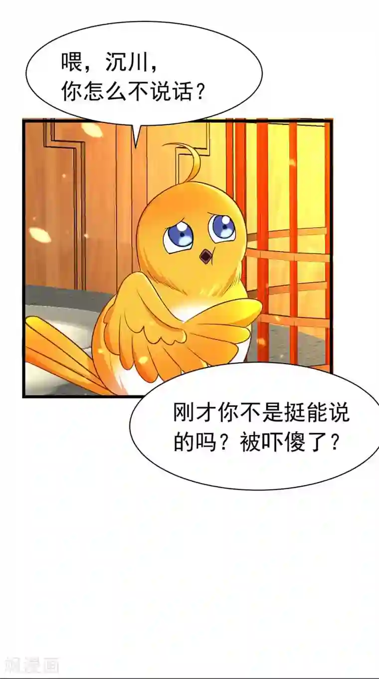 我在后宫当大佬第7话 司命沉川