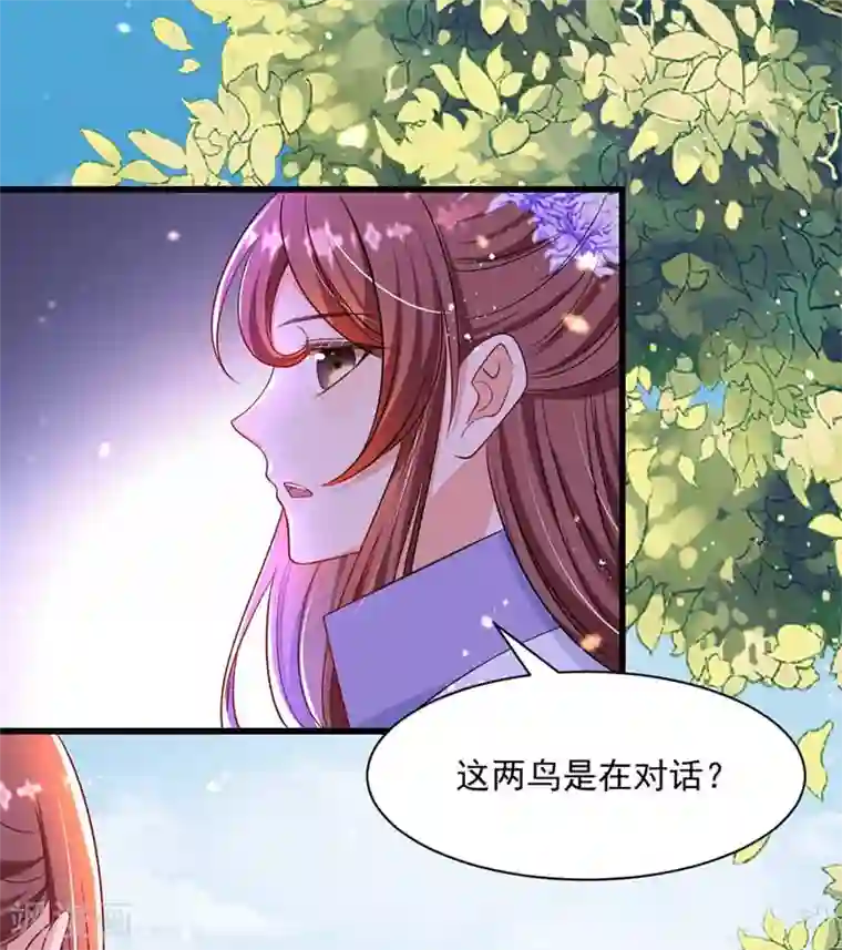 我在后宫当大佬第7话 司命沉川