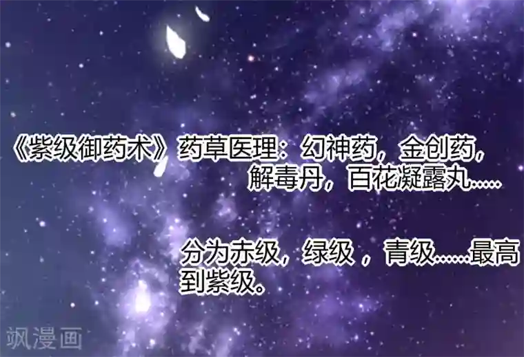 穿越王妃，夫君别找虐第3话 新的目标