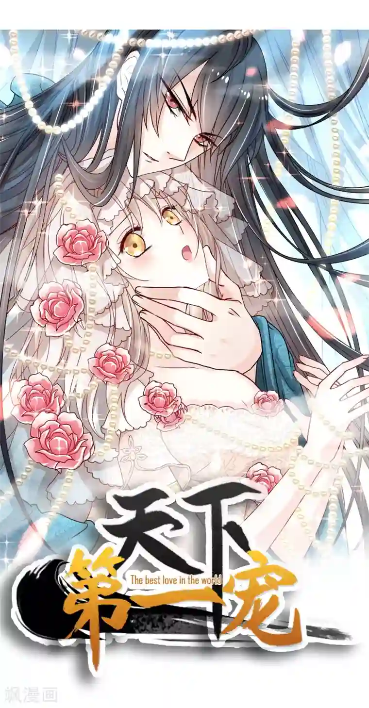 天下第一宠第1话 序章