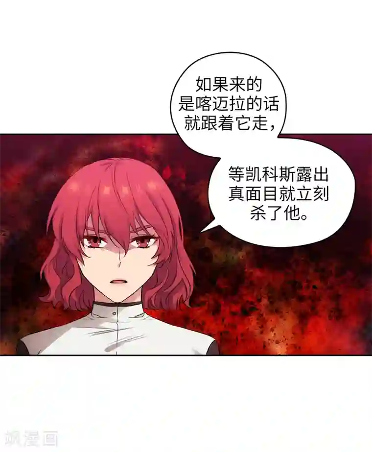 阿多尼斯第282话 我会保护你的