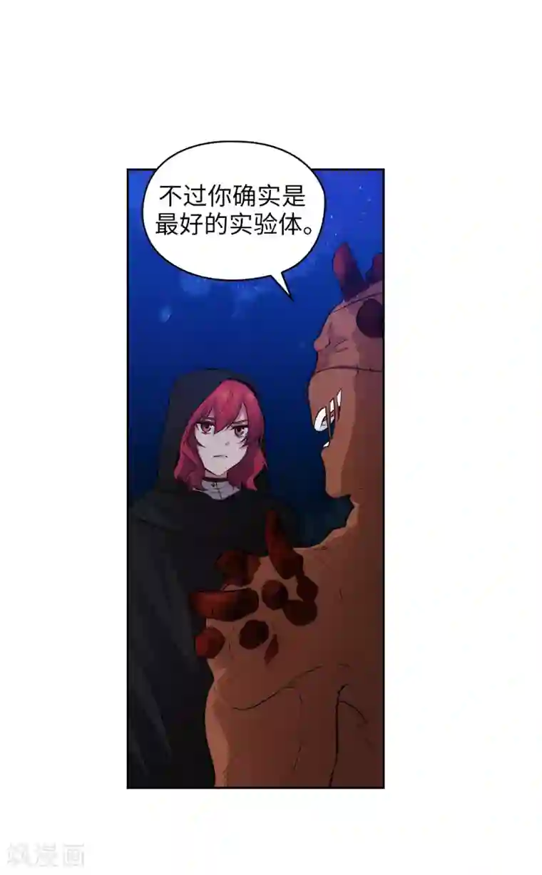 阿多尼斯第283话 我要亲手解决你
