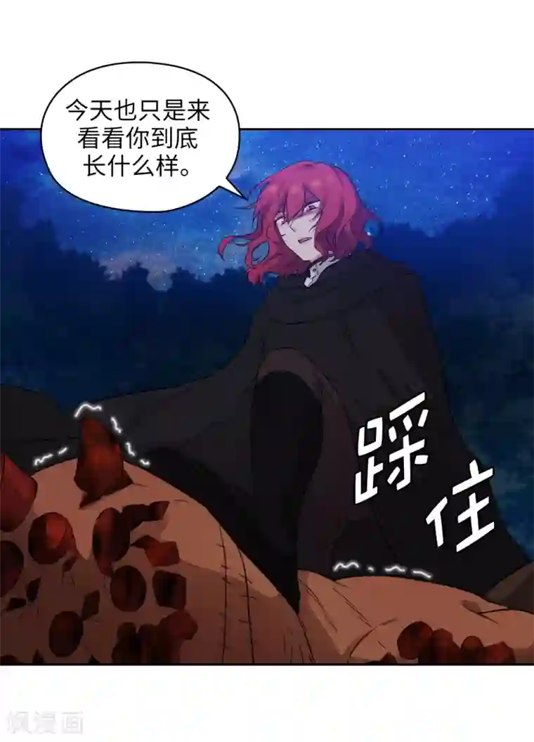 阿多尼斯第283话 我要亲手解决你
