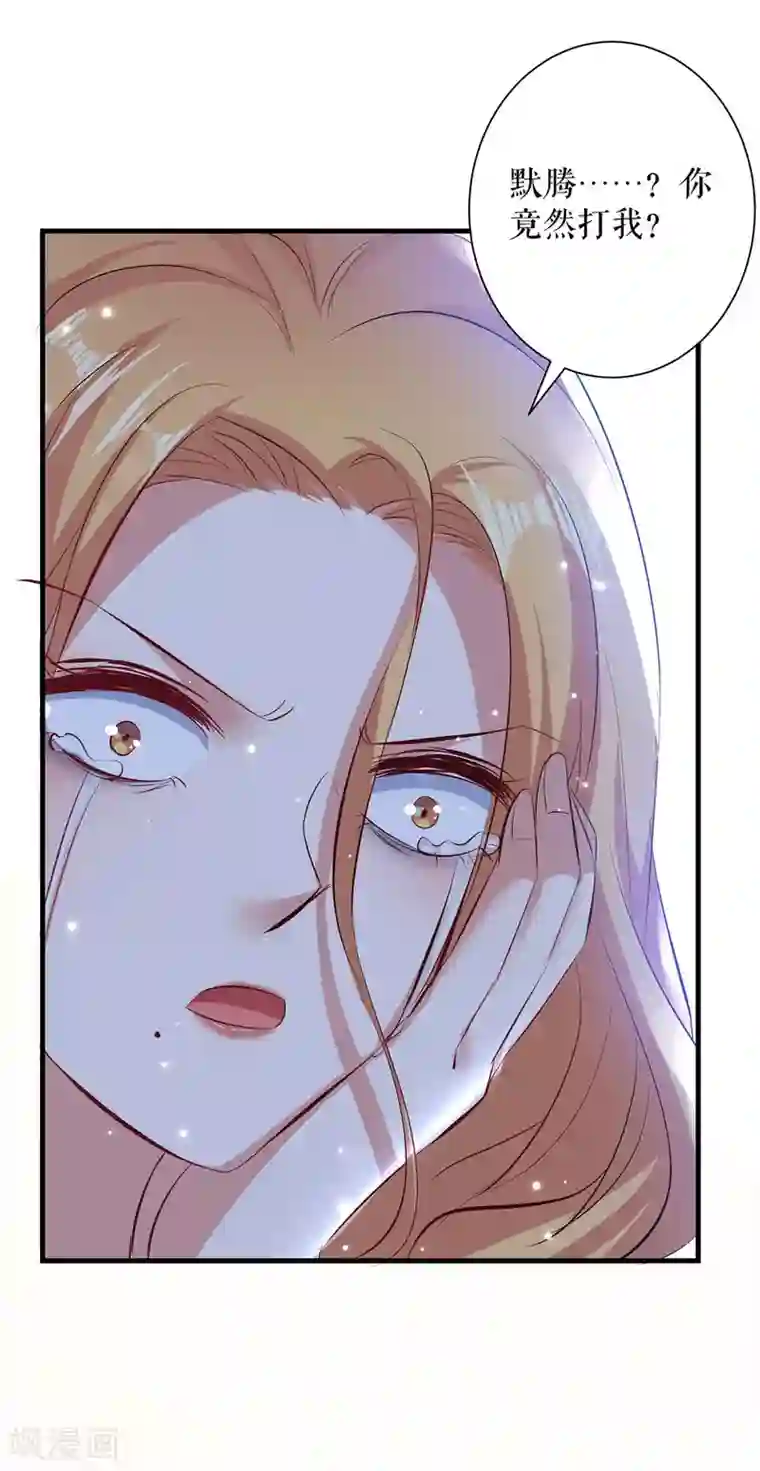 天才酷宝第82话 她的秘密