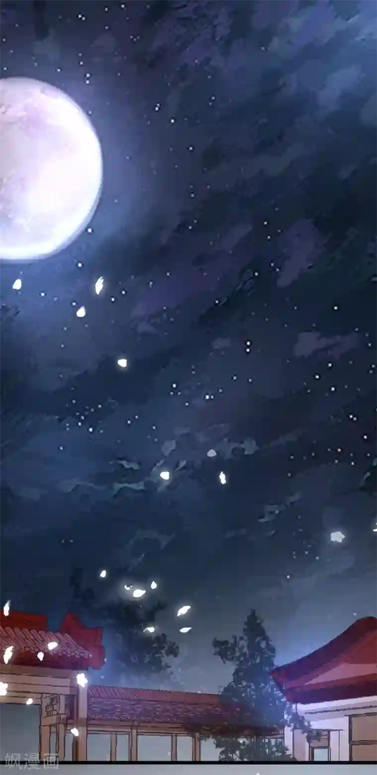 帝凰之神医弃妃第71话 夜宴