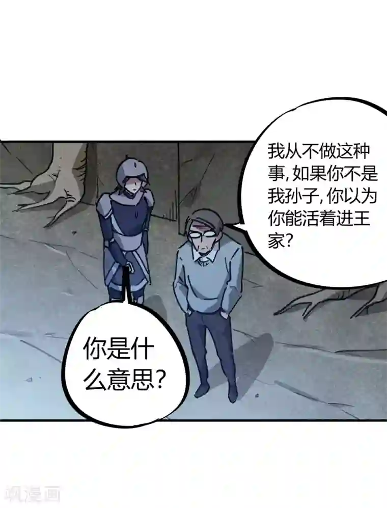 校园修真狂少第170话 王家的孙子