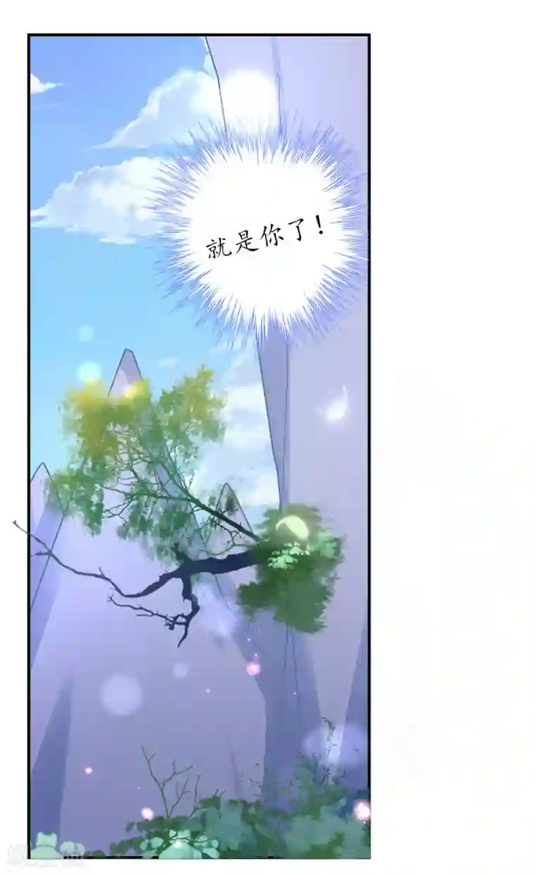 王妃的修仙指南第24话 有惊无险