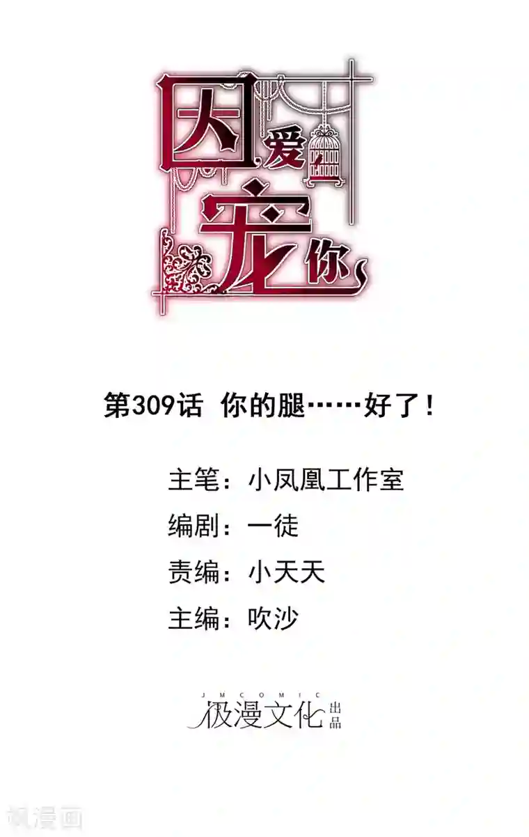 因爱宠你第309话