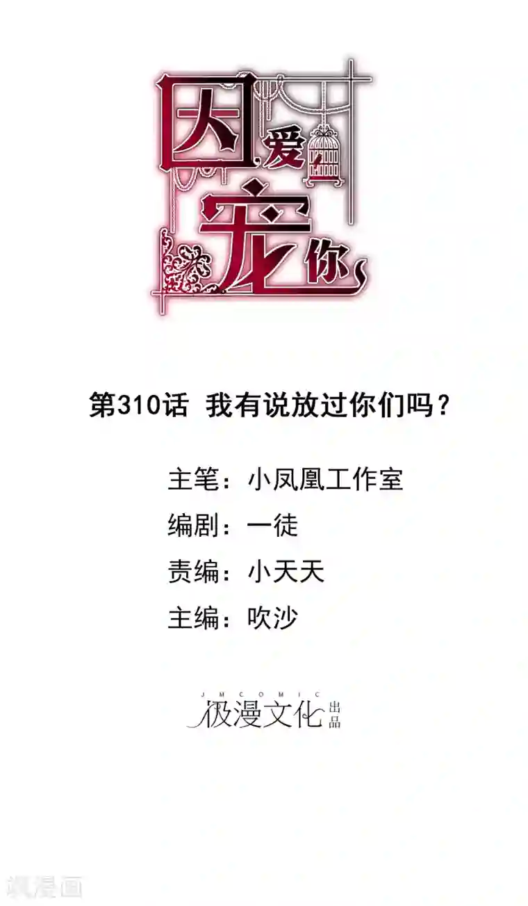 因爱宠你第310话