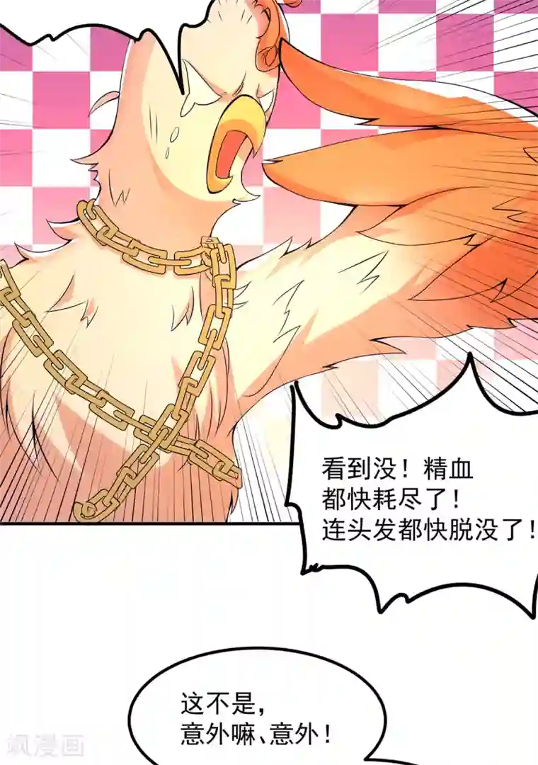 我有九个女徒弟第43话 小鸡鸡，想我没？