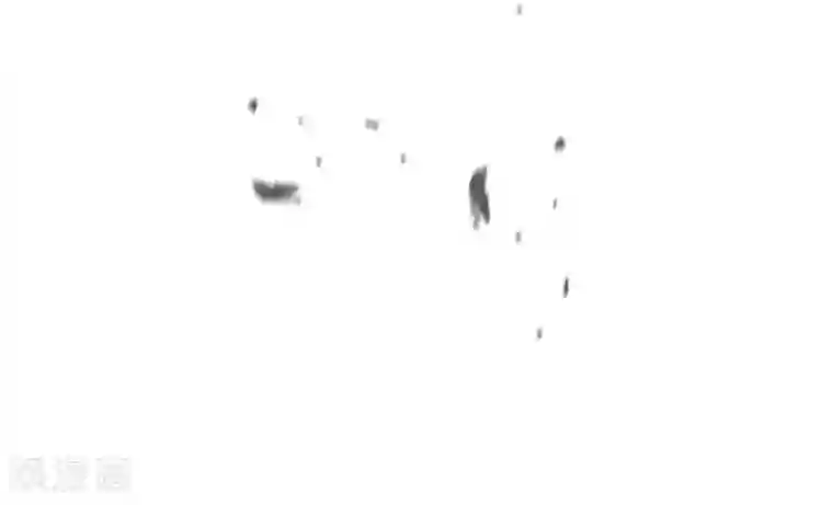 魔女的小跟班第2季最终话 总会遇见的