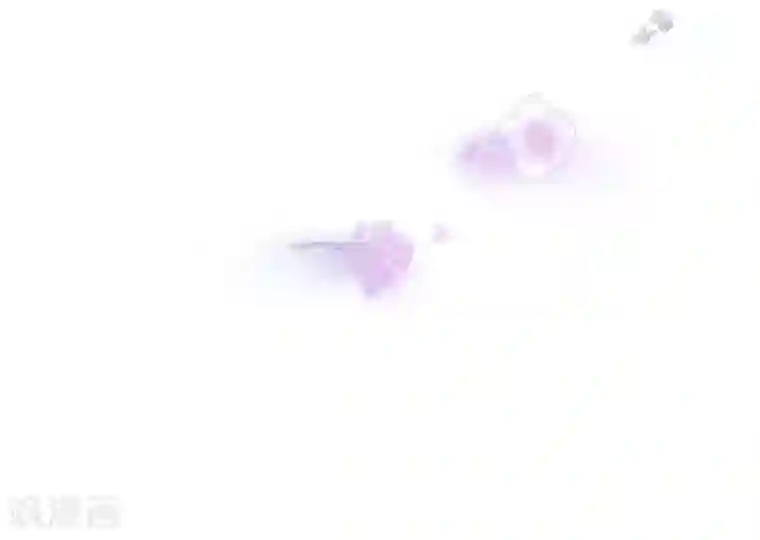 魔女的小跟班第2季最终话 总会遇见的