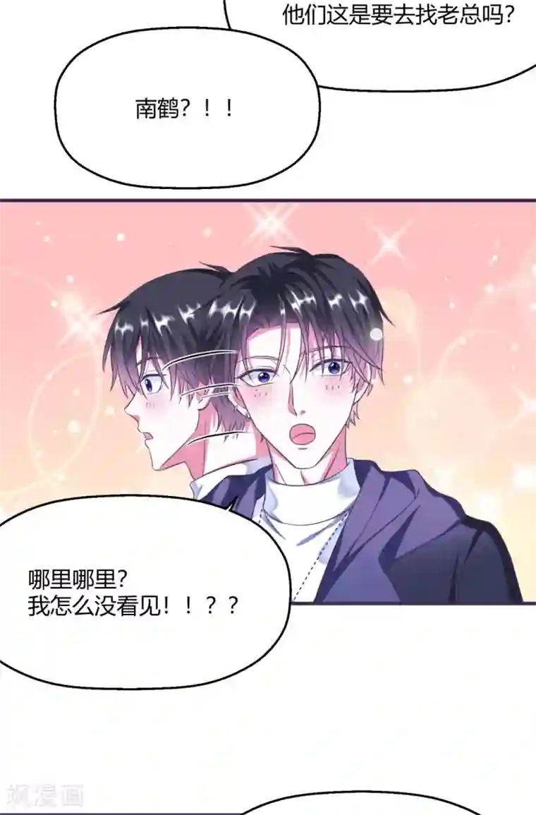 当红炸子鸡也追星第4话 是姻缘还是孽缘？