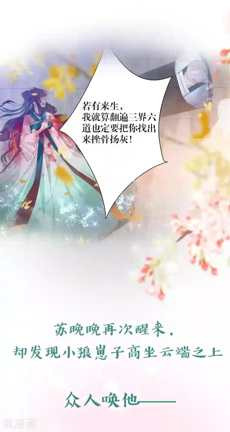 三生彼岸花预告