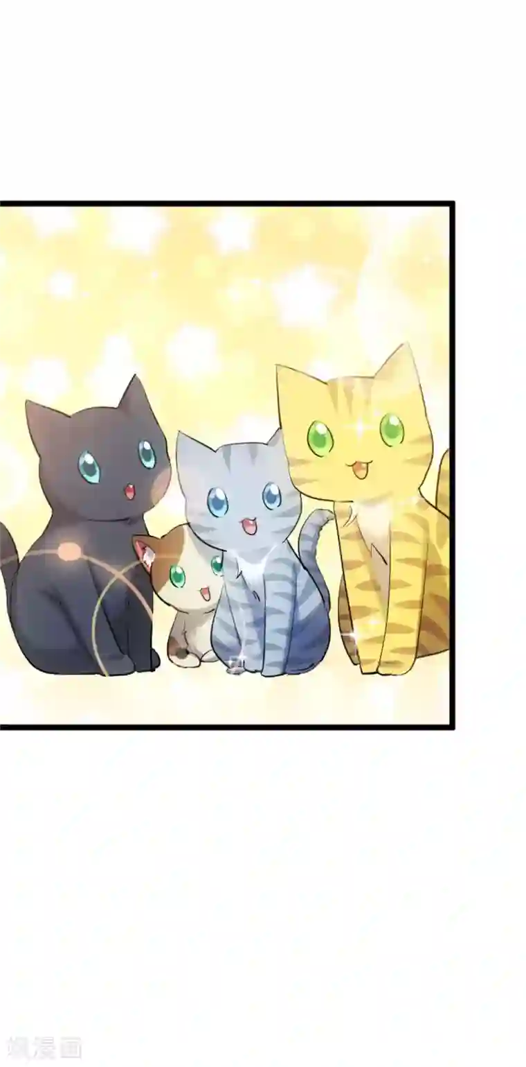 救命！我的男票是妖怪第157话 灵猫村的真相