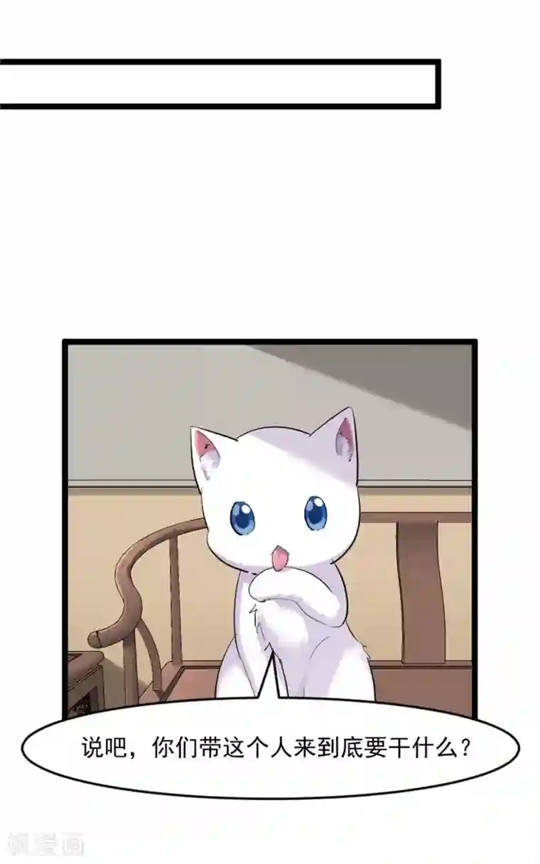 救命！我的男票是妖怪第157话 灵猫村的真相